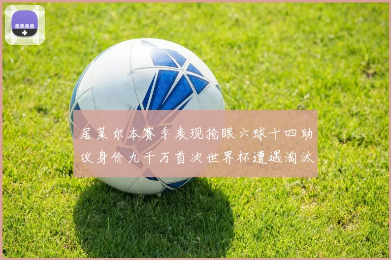 居莱尔本赛季表现抢眼六球十四助攻身价九千万首次世界杯遭遇淘汰